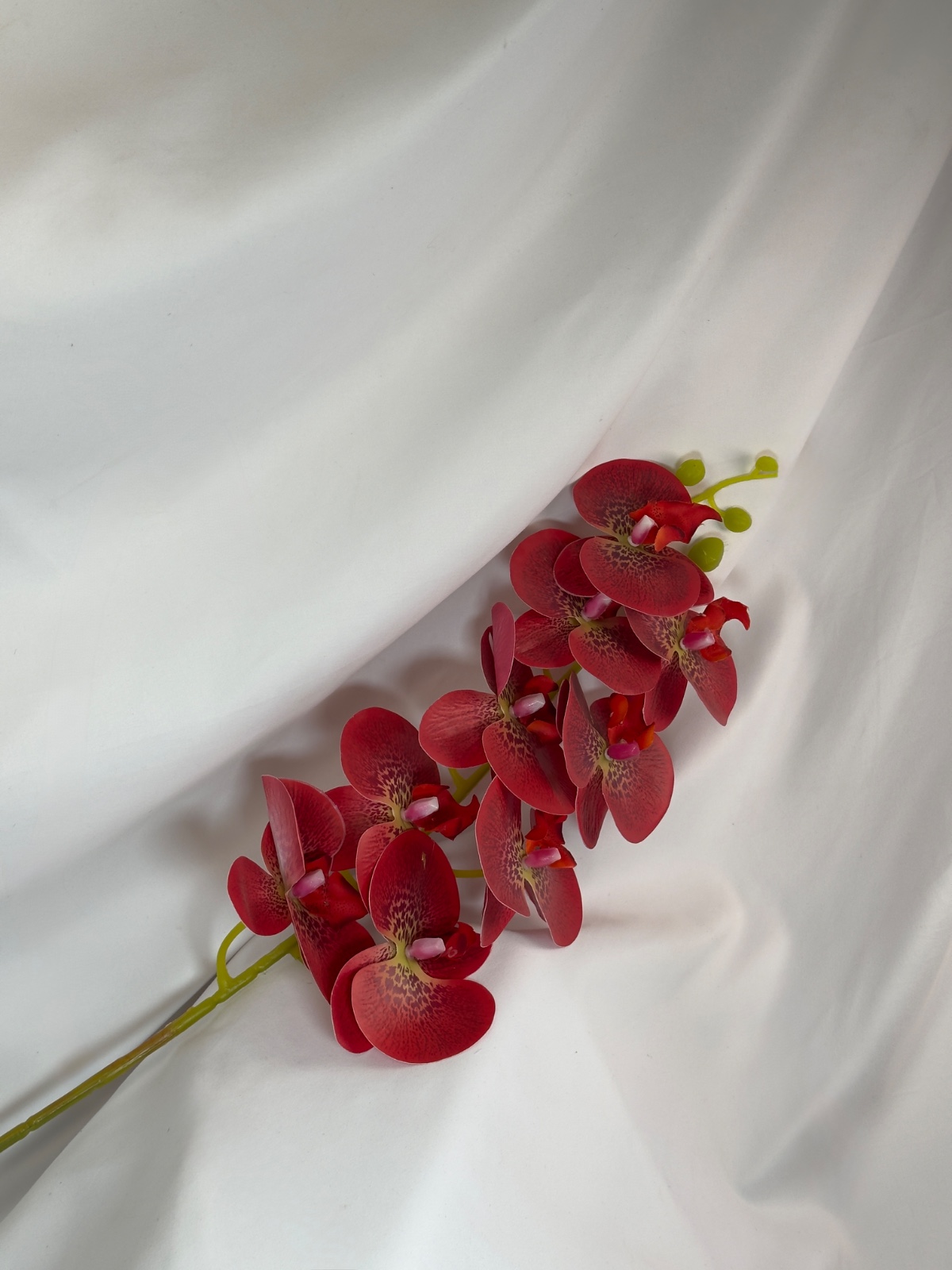 ხელოვნური ორქიდეა ფლორა ჰაუსი — photo 8